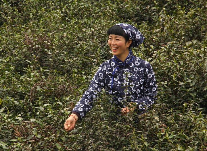 热门动漫